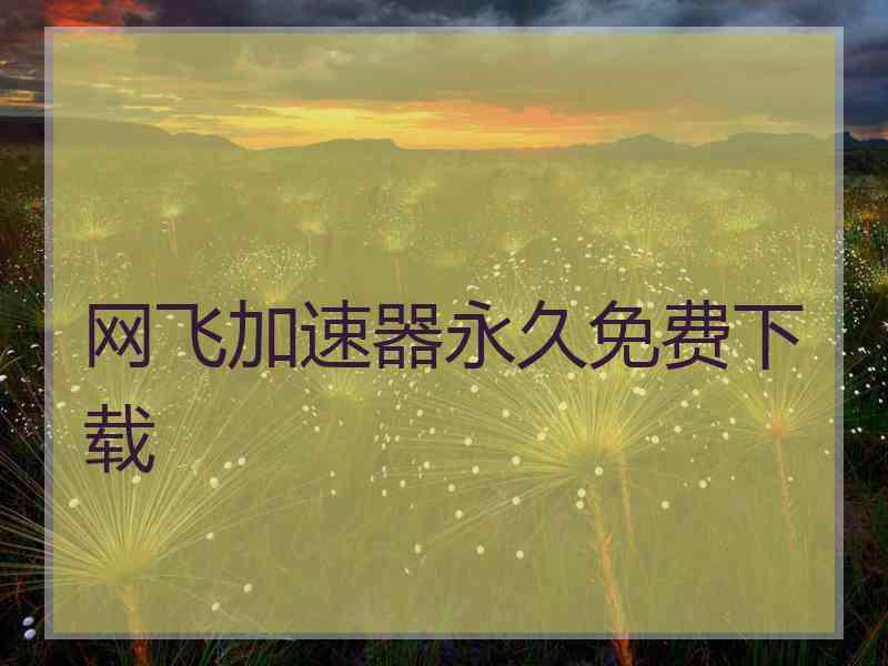 网飞加速器永久免费下载
