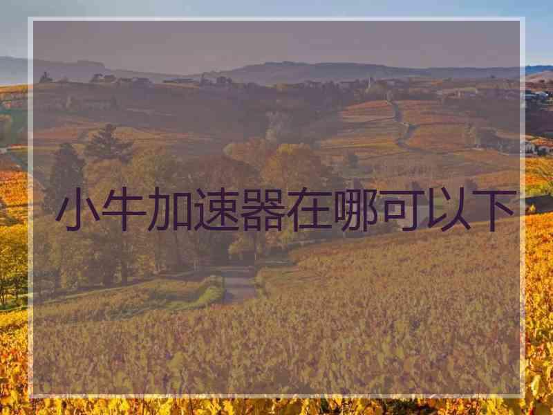 小牛加速器在哪可以下