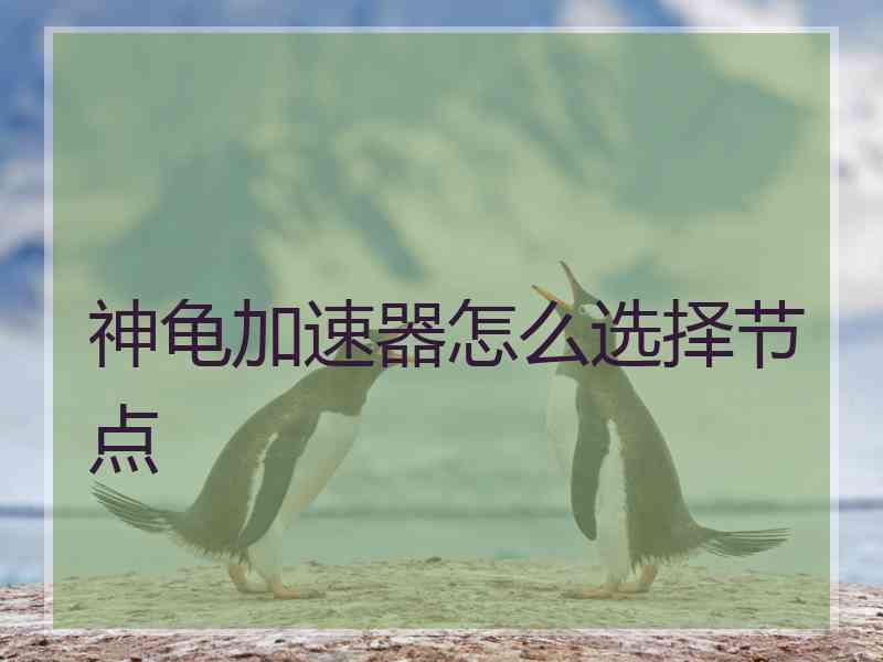 神龟加速器怎么选择节点