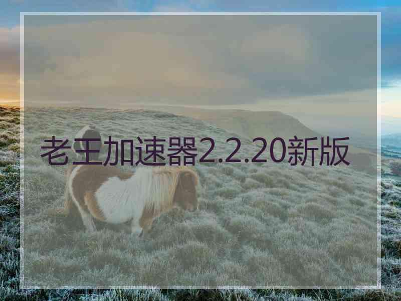 老王加速器2.2.20新版