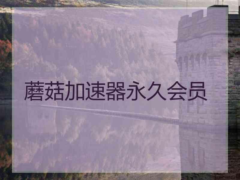 蘑菇加速器永久会员