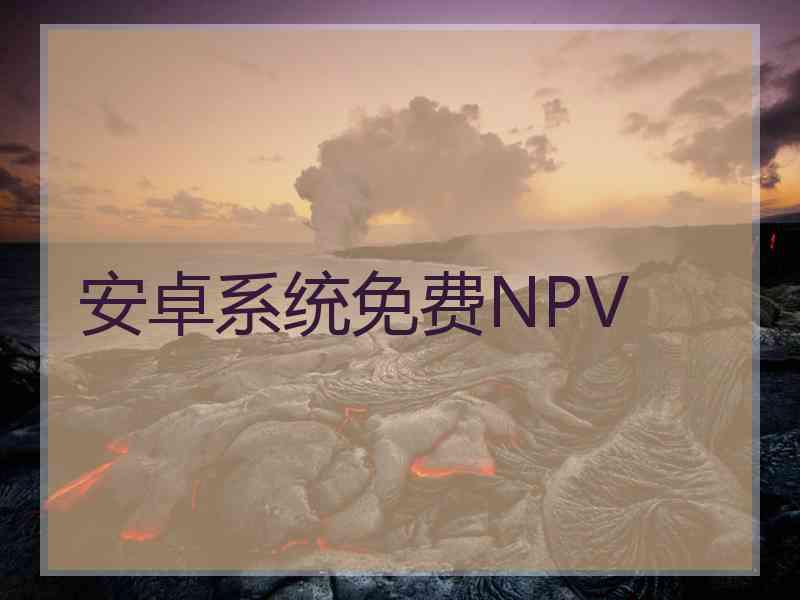 安卓系统免费NPV