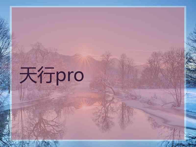 天行pro