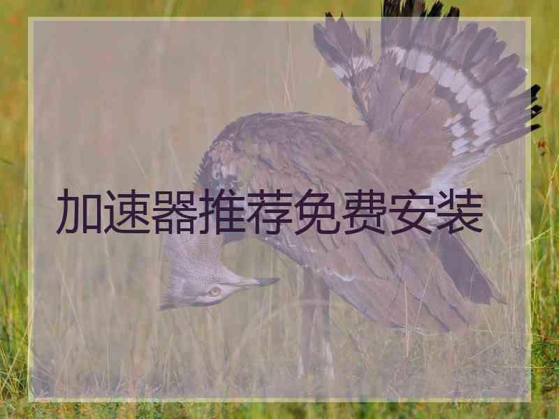 加速器推荐免费安装