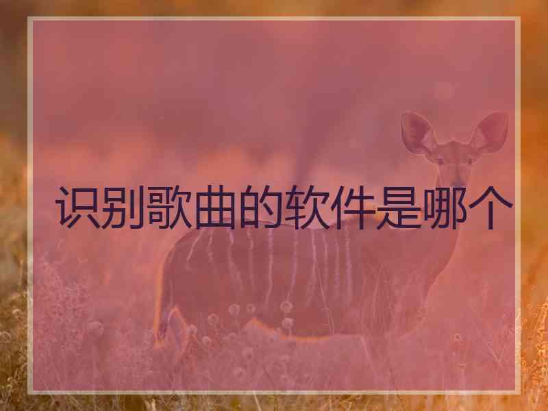 识别歌曲的软件是哪个