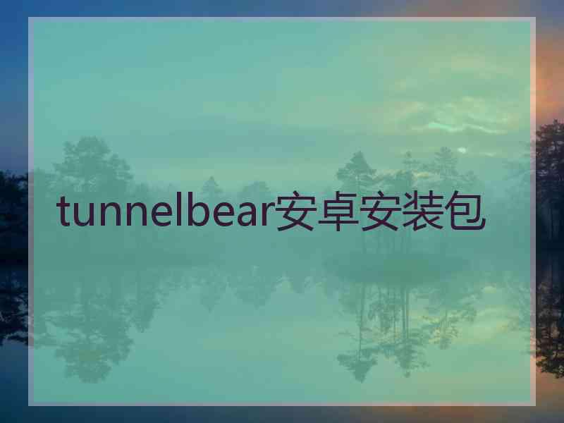 tunnelbear安卓安装包