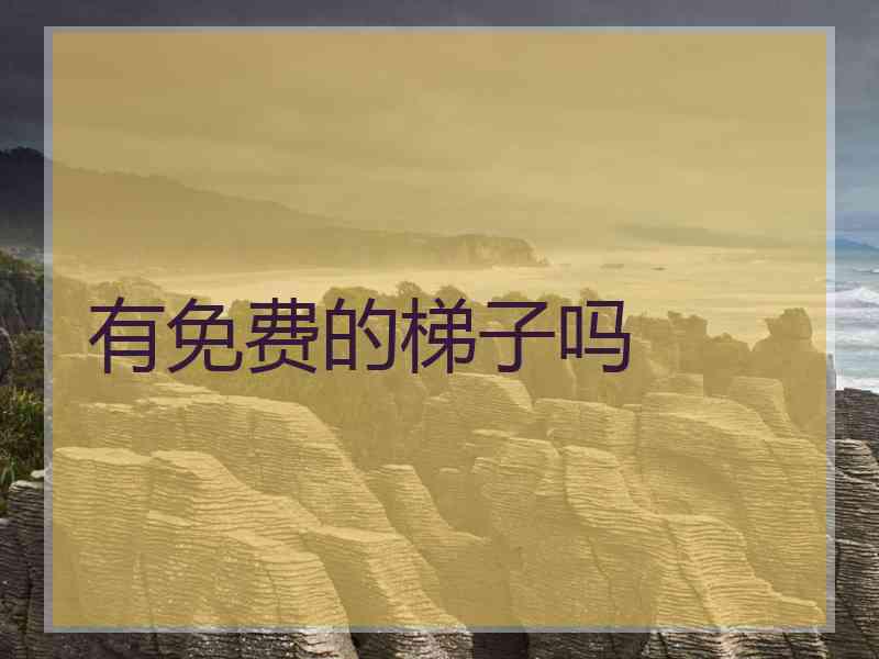 有免费的梯子吗