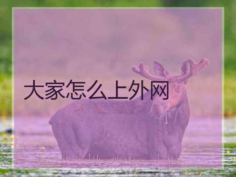 大家怎么上外网