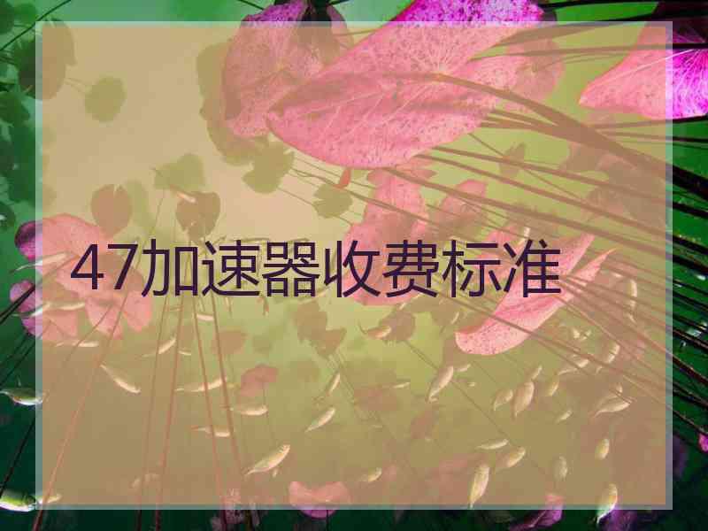 47加速器收费标准