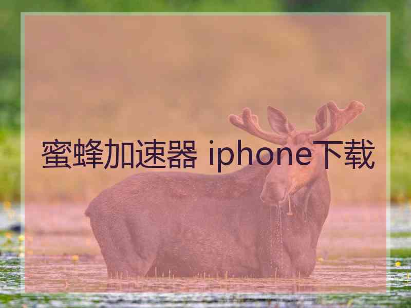 蜜蜂加速器 iphone下载
