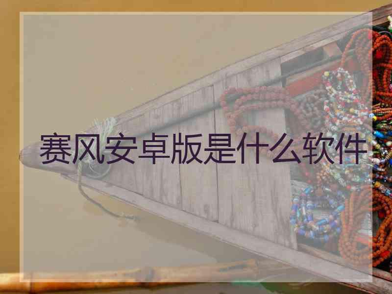 赛风安卓版是什么软件