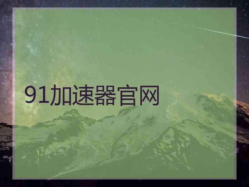 91加速器官网