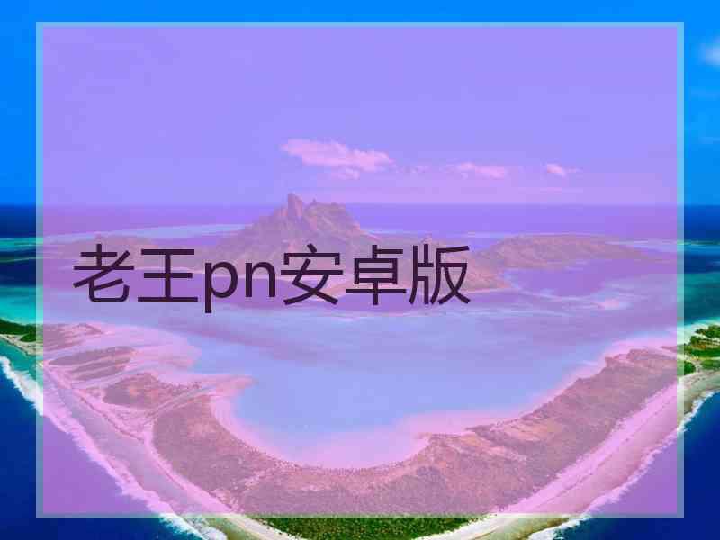 老王pn安卓版