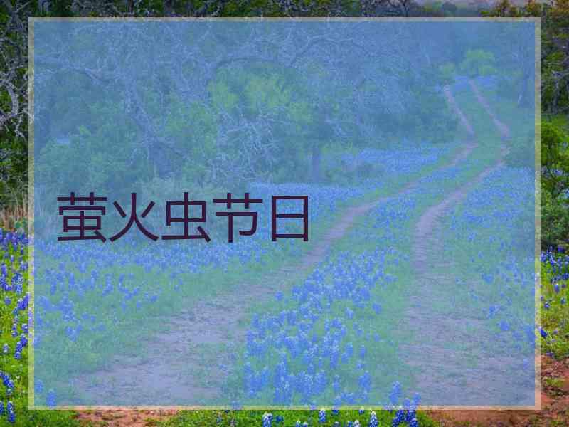 萤火虫节日