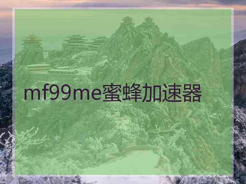 mf99me蜜蜂加速器
