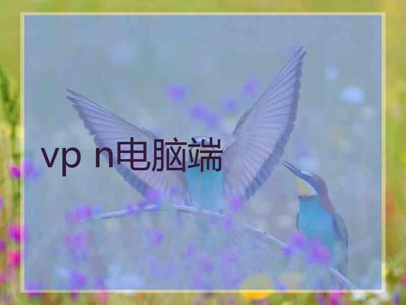 vp n电脑端