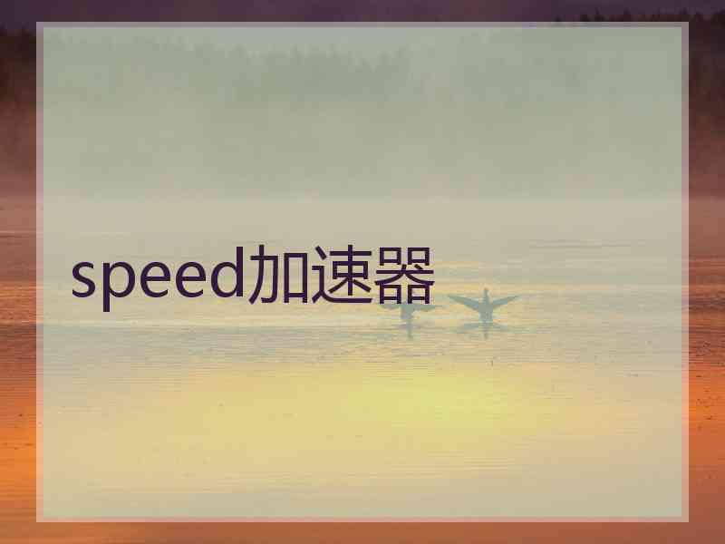 speed加速器