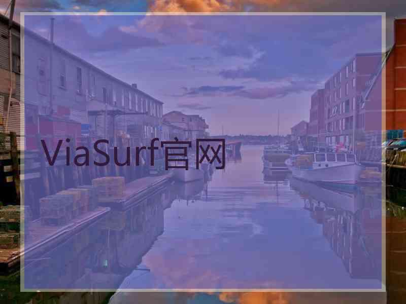 ViaSurf官网