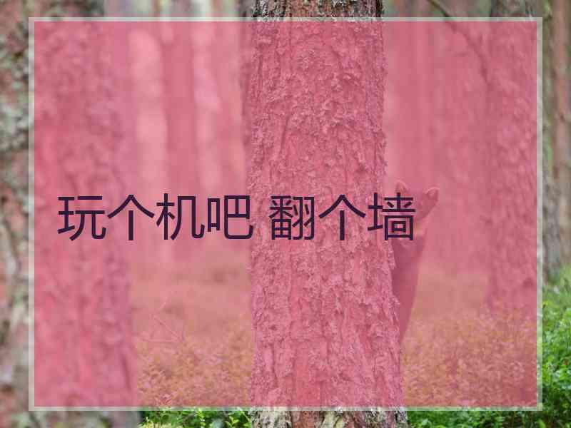 玩个机吧 翻个墙
