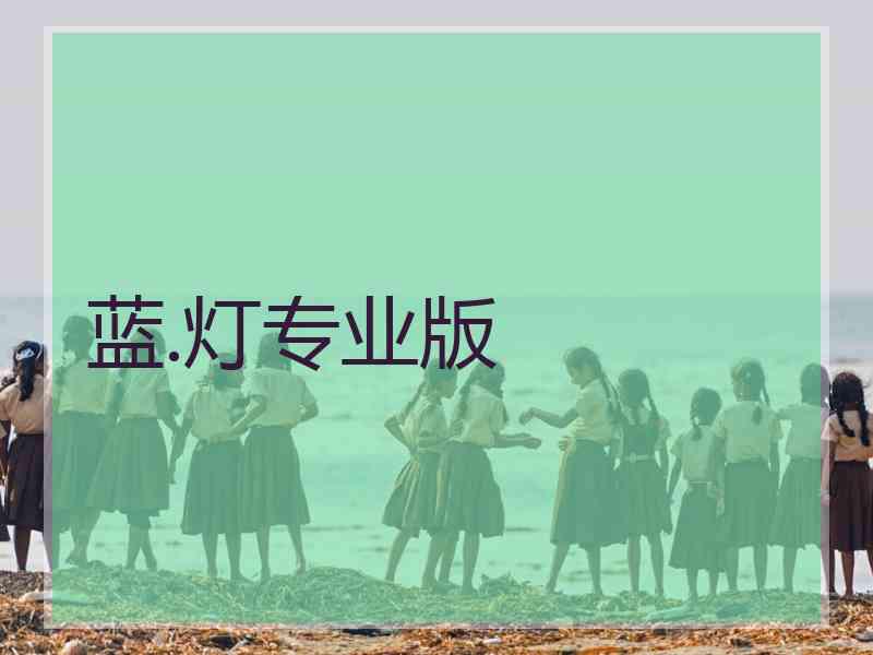 蓝.灯专业版