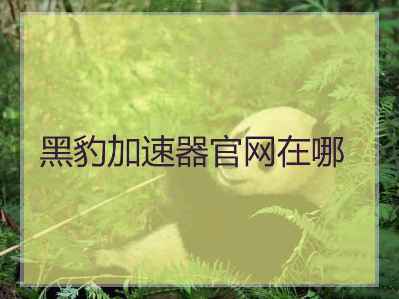 黑豹加速器官网在哪