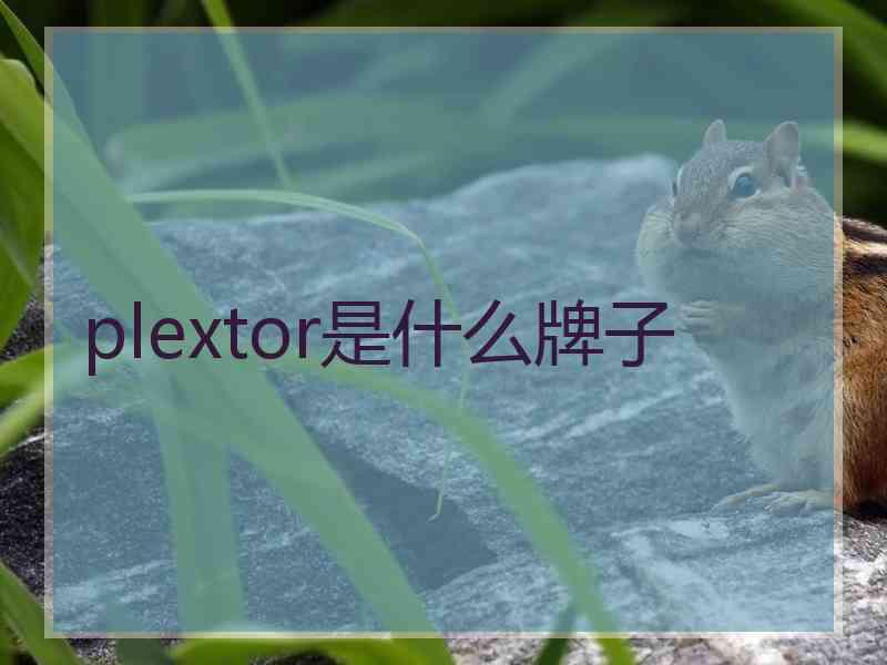 plextor是什么牌子
