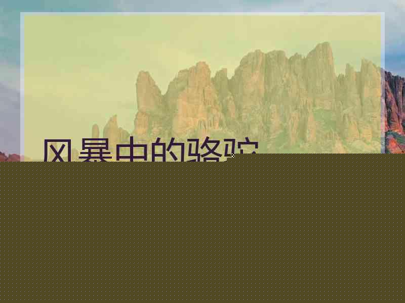 风暴中的骆驼