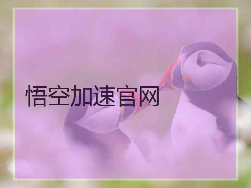 悟空加速官网