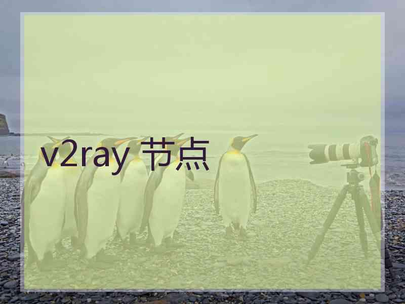 v2ray 节点