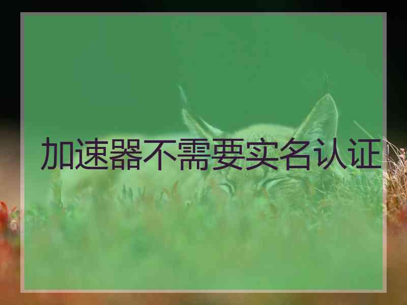 加速器不需要实名认证