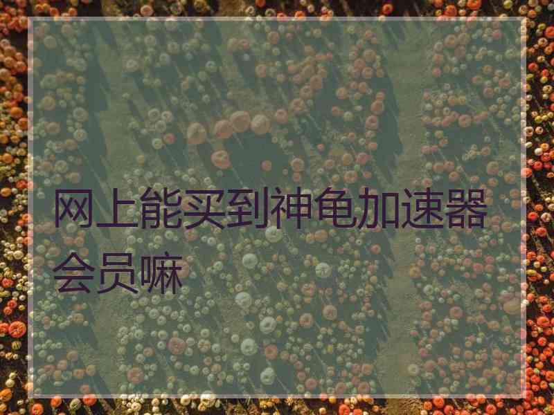 网上能买到神龟加速器会员嘛