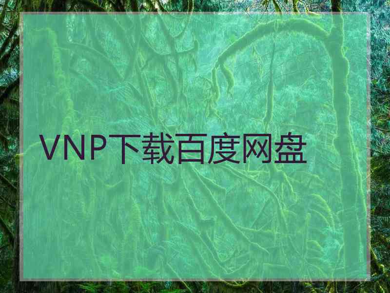 VNP下载百度网盘