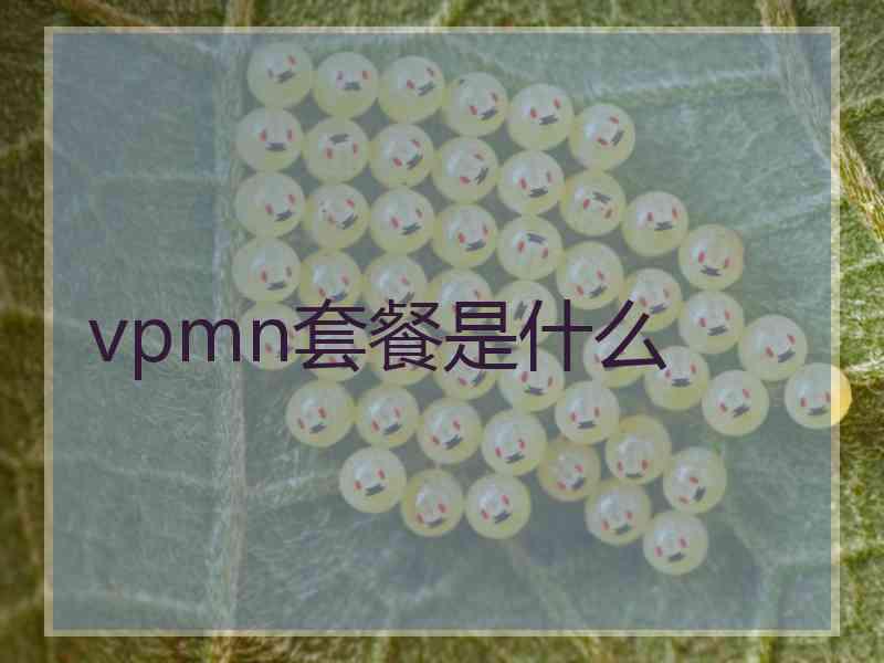 vpmn套餐是什么