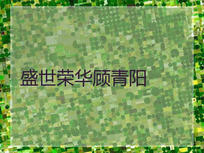 盛世荣华顾青阳