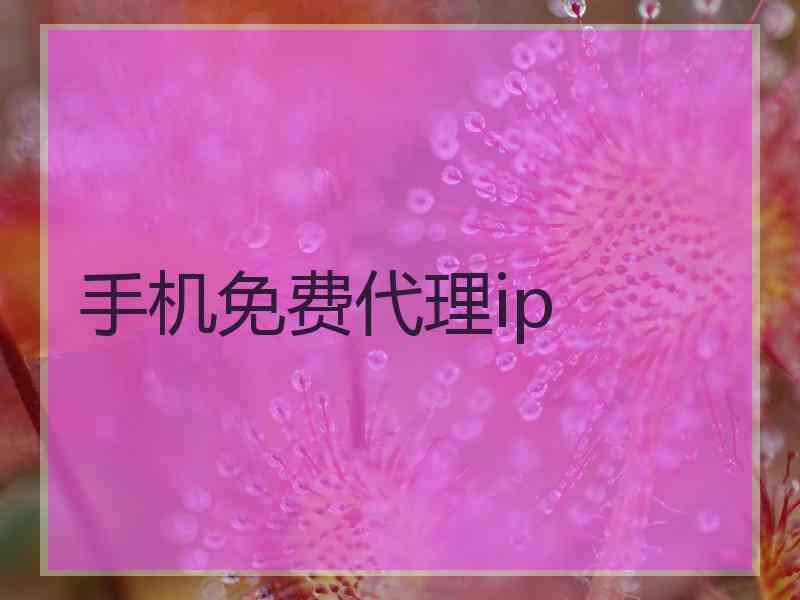 手机免费代理ip
