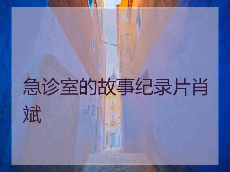 急诊室的故事纪录片肖斌