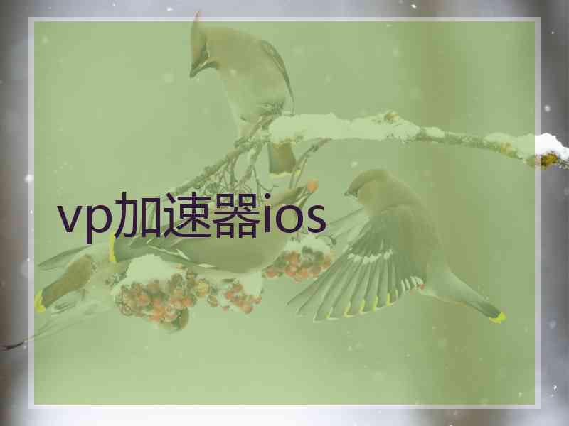 vp加速器ios