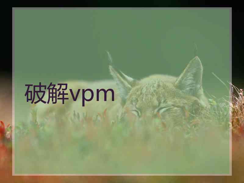 破解vpm