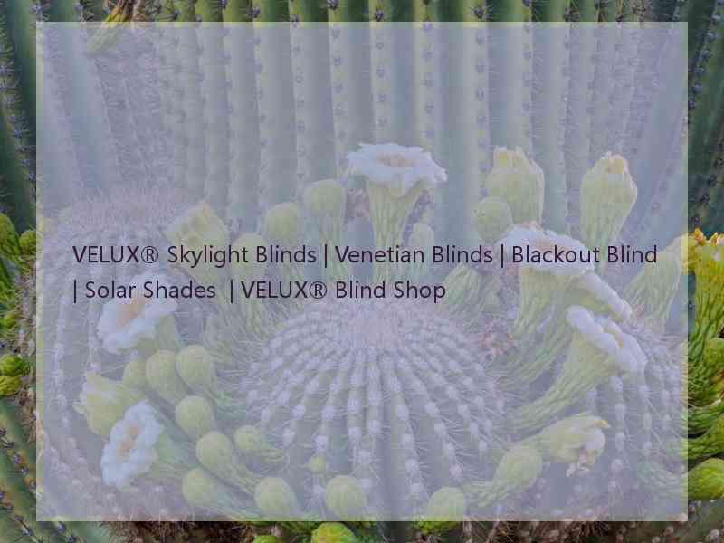 VELUX® Skylight Blinds | Venetian Blinds | Blackout Blind | Solar Shades  | VELUX® Blind Shop