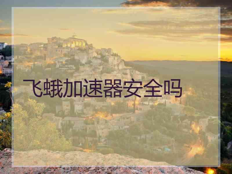 飞蛾加速器安全吗