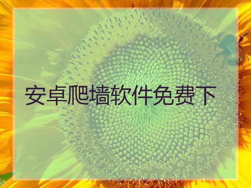 安卓爬墙软件免费下