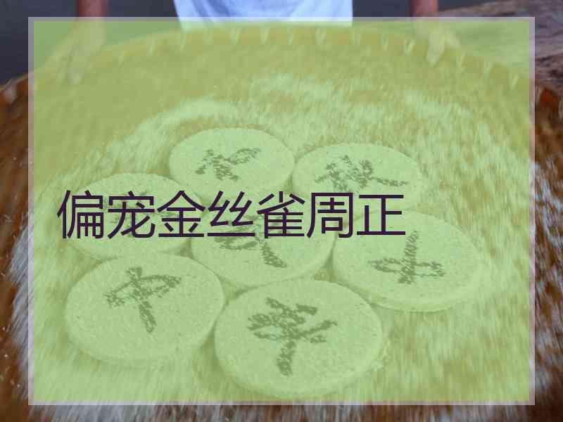 偏宠金丝雀周正