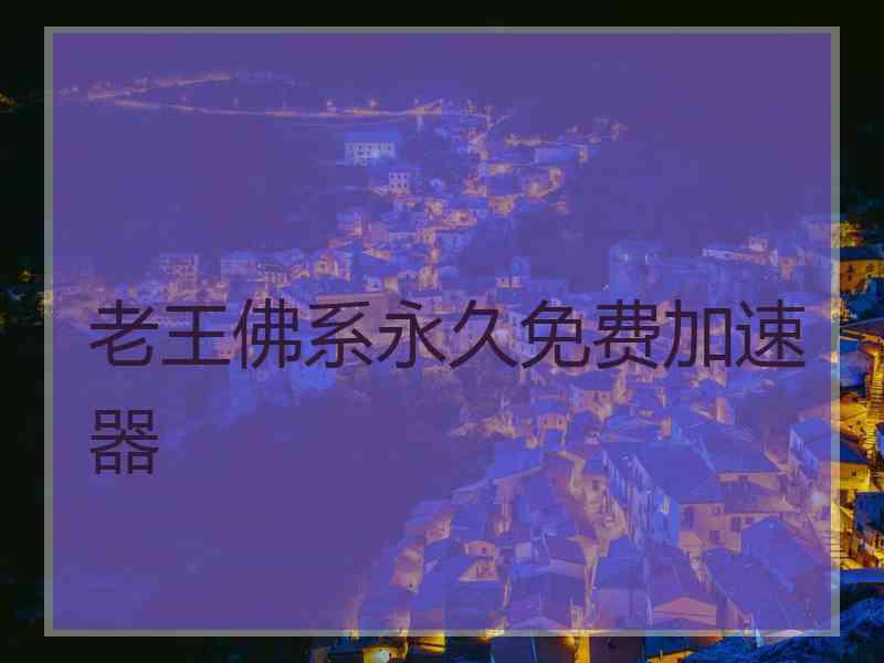 老王佛系永久免费加速器