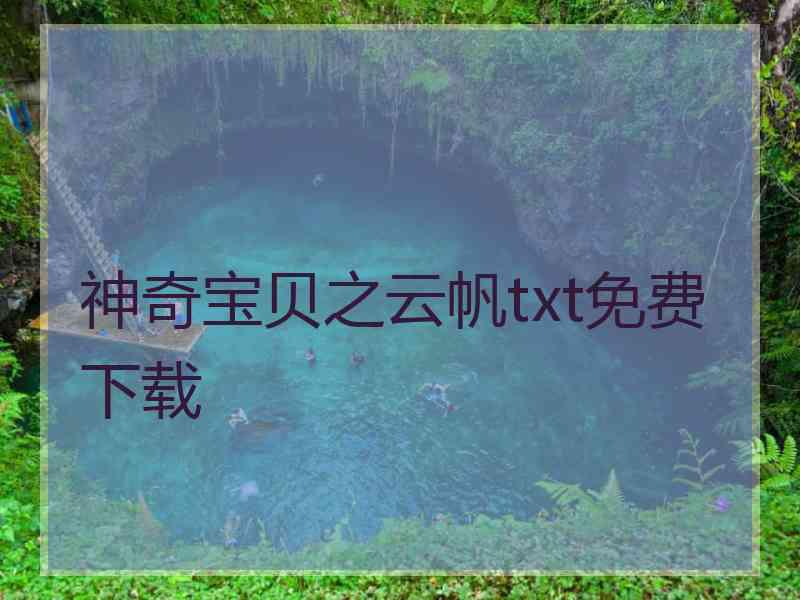 神奇宝贝之云帆txt免费下载
