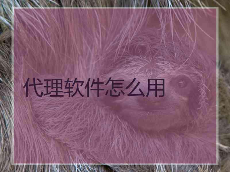 代理软件怎么用