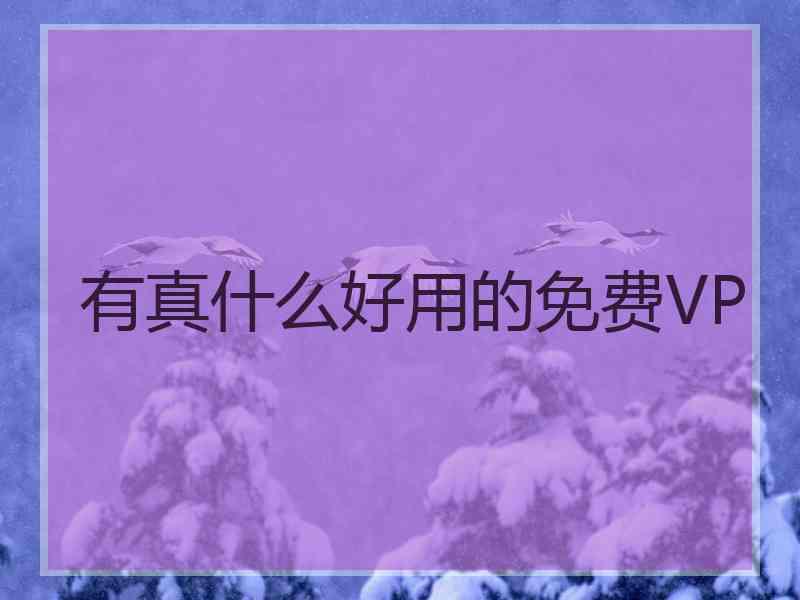 有真什么好用的免费VP