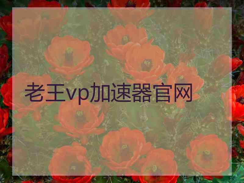 老王vp加速器官网