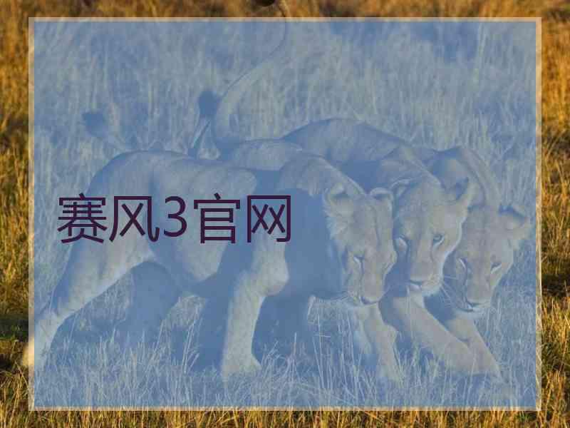 赛风3官网