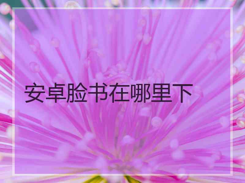安卓脸书在哪里下