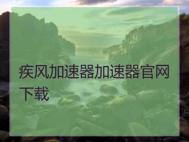 疾风加速器加速器官网下载